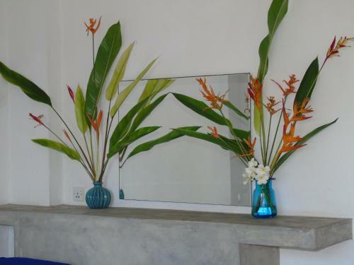 Hotel Banana Beach