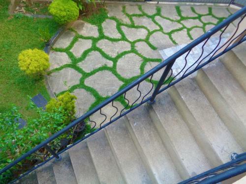 Hostal De Fancy House