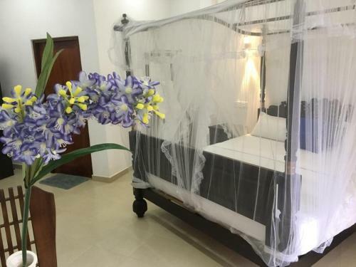 Hostal Galle Fantacy