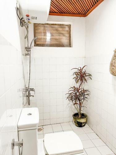 Bed & Breakfast Alice In Paradise
