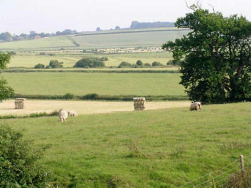 The Old Stable Cottage