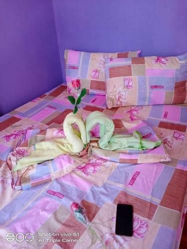 Bed & Breakfast Purple Guesthouse