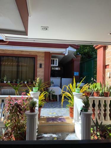 Hotel Billy?s Resort