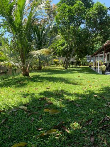 Bed & Breakfast Serendipity (weligama)