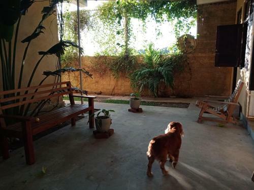 Hotel South Sea Villa