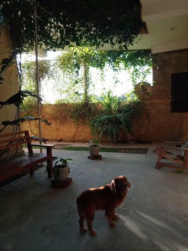 Hotel South Sea Villa