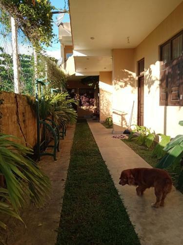 Hotel South Sea Villa
