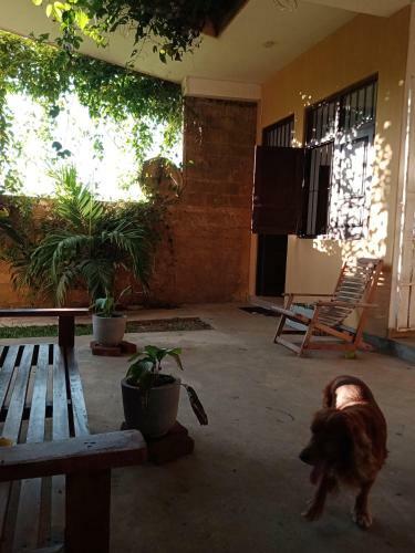 Hotel South Sea Villa