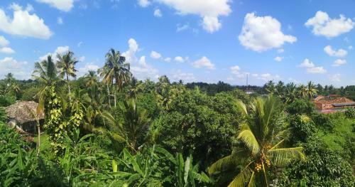 Hotel Scenic Bay Weligama