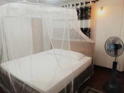 Hostal The Hollyoak