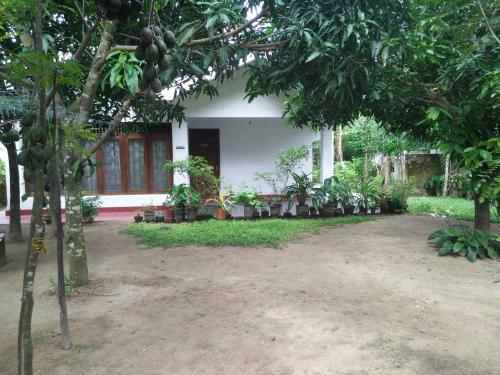 Diamond Home Stay