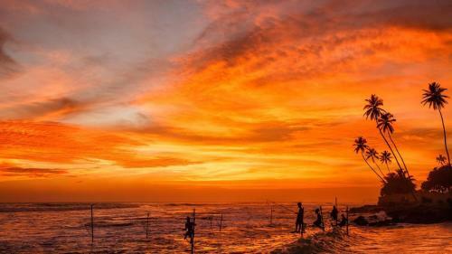 Bed & Breakfast Sandaru Holiday Resort