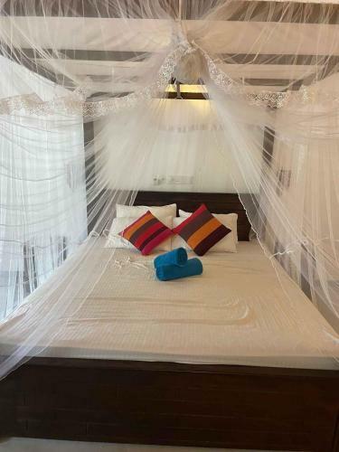 Hostal Freedom Surf Villa