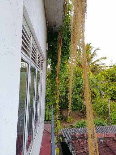 Hostal Knt Villa