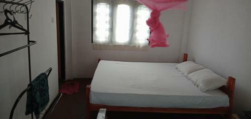 Hostal Dimidi Villa
