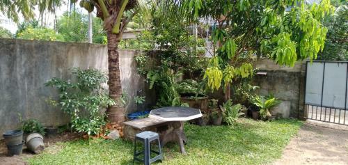 Hostal Dimidi Villa