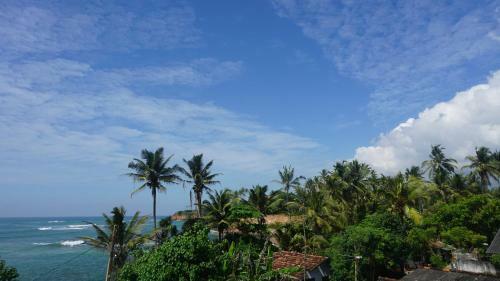 Hostal The Reef Weligama