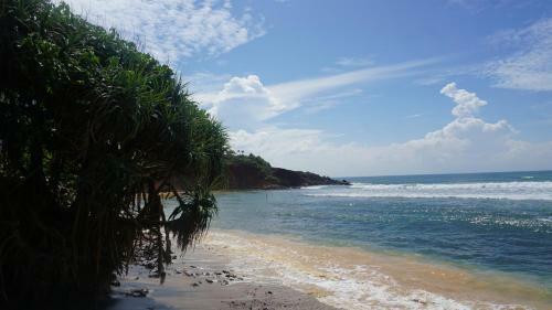 Hostal The Reef Weligama