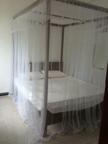 Ajith Villa-weligama