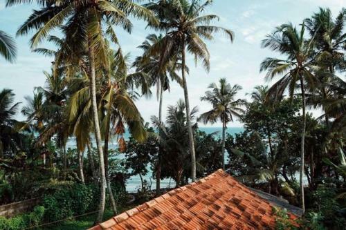 Hostal Mango House Weligama