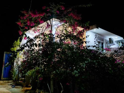 Hostal Flower Shade Villa