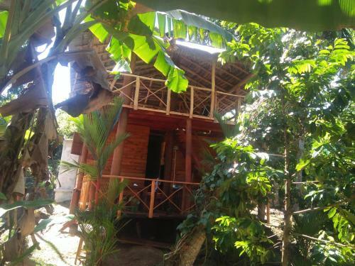 Villa Marvellous Tree House