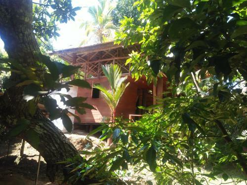 Villa Marvellous Tree House