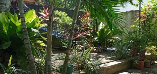 Hostal Kamiliya Dame Guest