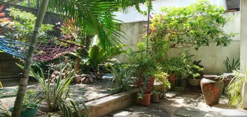 Hostal Kamiliya Dame Guest