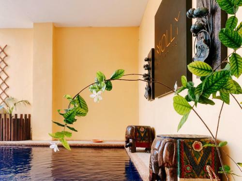 Hotel Molly Resorts