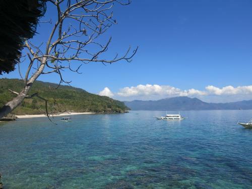 Hotel Badladz Beach And Dive Resort