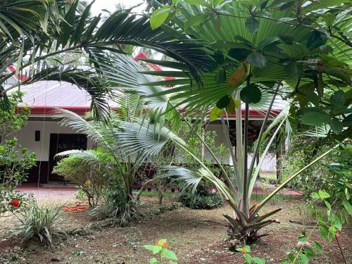 Panglao Swiss Chalet House