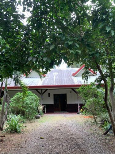 Panglao Swiss Chalet House