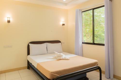 Hotel Almira Diving Resort- Panglao
