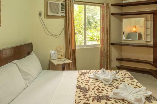 Hotel Almira Diving Resort- Panglao