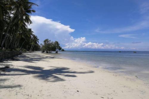 Hostal Bamboo Nest Hartman Beach