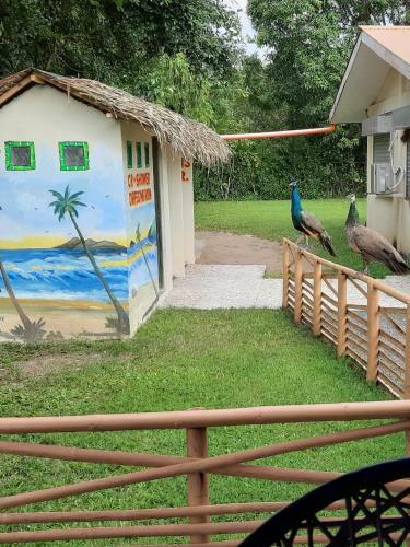 Hotel Monty's Riverside View Resort By Cocotel - Fully Vaccinated Staff