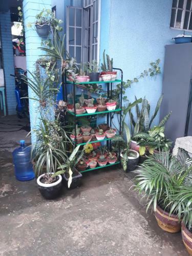 Hostal Cvbnb Guesthouse
