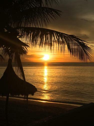 Posada Freedive Inn