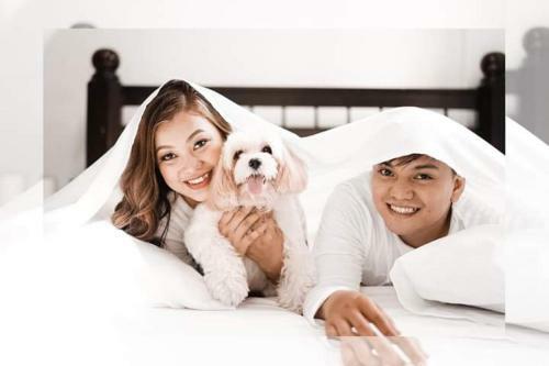 Sofiatel Rooms