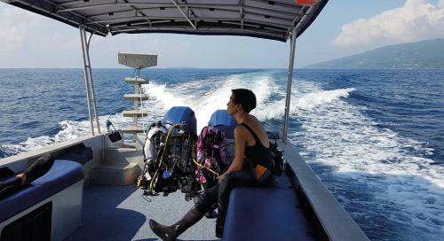 Hotel Emoha Dive Resort