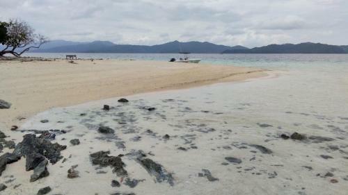 Posada Acuario Beach Inn
