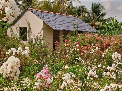 Thach Thao Homestay