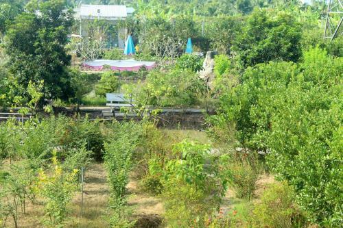 Thach Thao Homestay