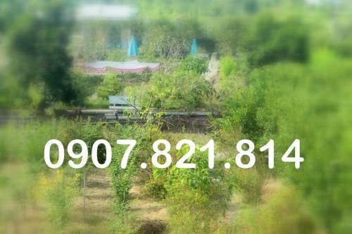 Thach Thao Homestay