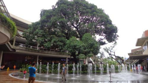 Apartamento The Redwoods Sm Fairview By Preciousgem