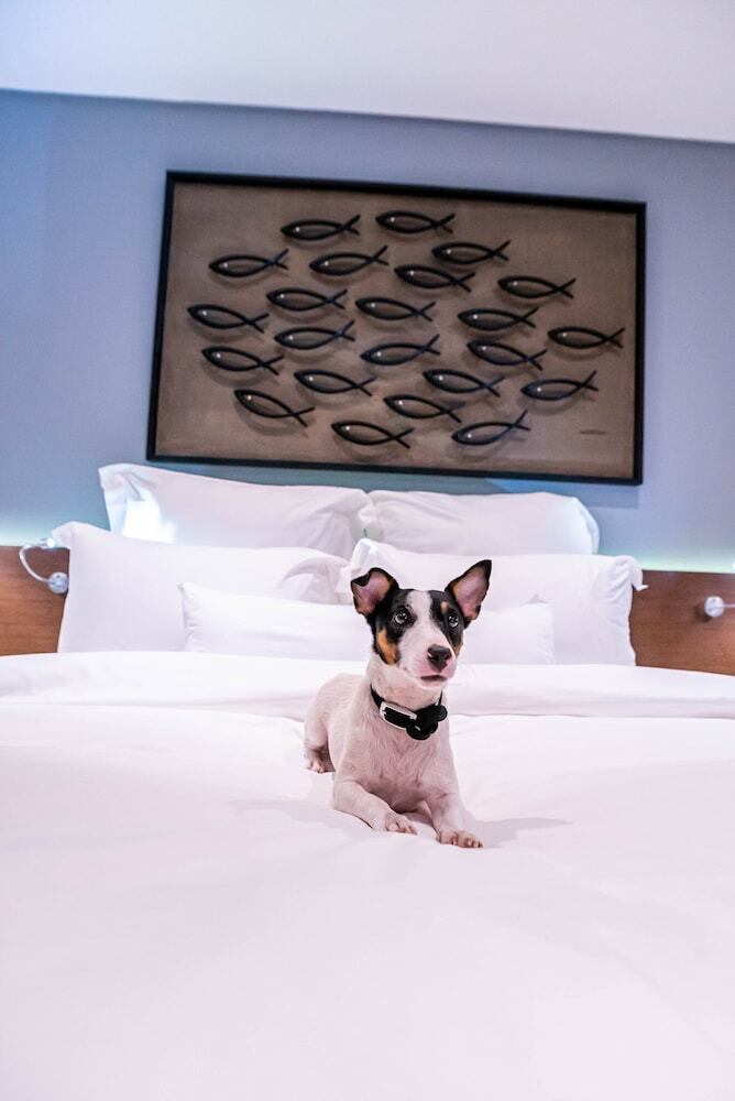 Coro Hotel