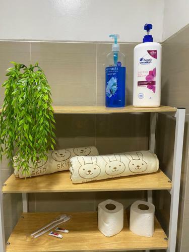 Apartamento Shore Residence Moa - Schenzos Nest