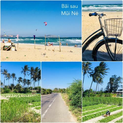 Homestay Bono M?i N�