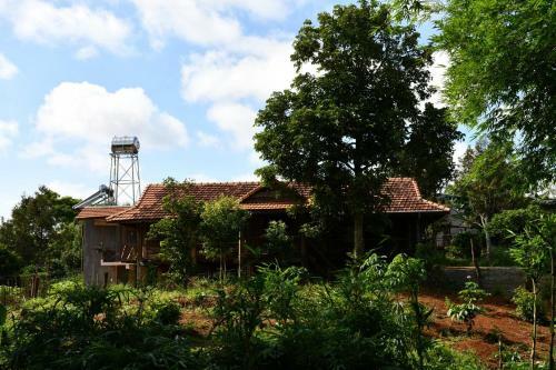 Plei Homestay & Caf�